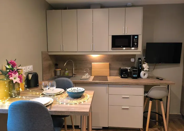 2 Pieces Cozy Place Morny Refait A Neuf *